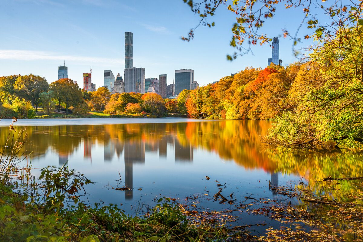 Automne à Central Park
