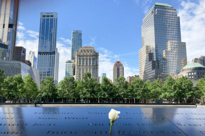 Rose déposée en hommage au memorial du 11 septembre