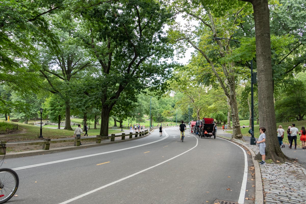 Avenue de Central Park