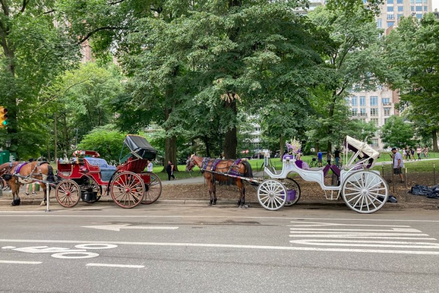 Calèches dans Central Park