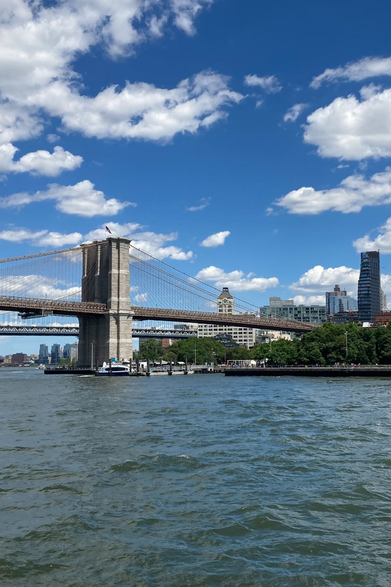 pont de brooklyn au loin