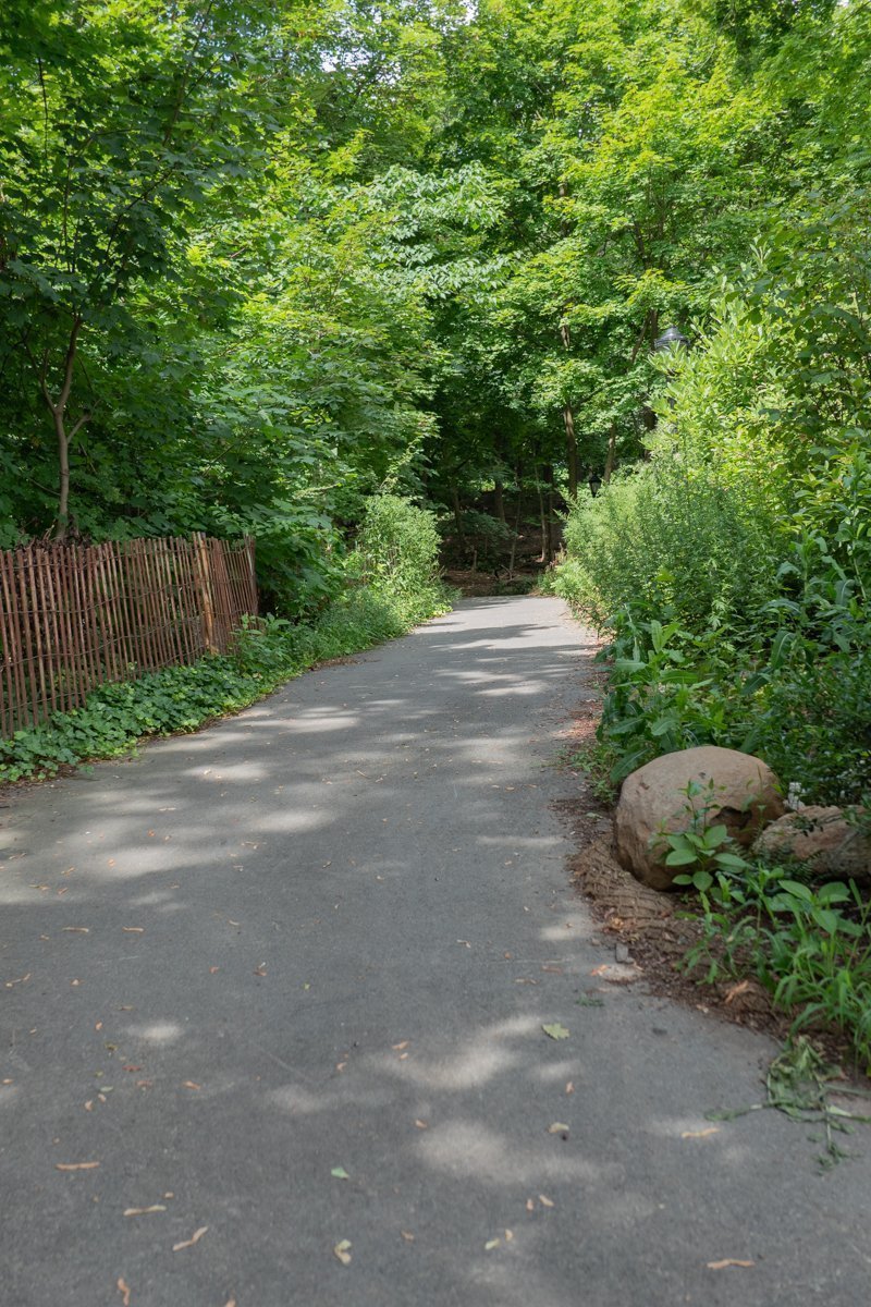 New-york-prospect-park2