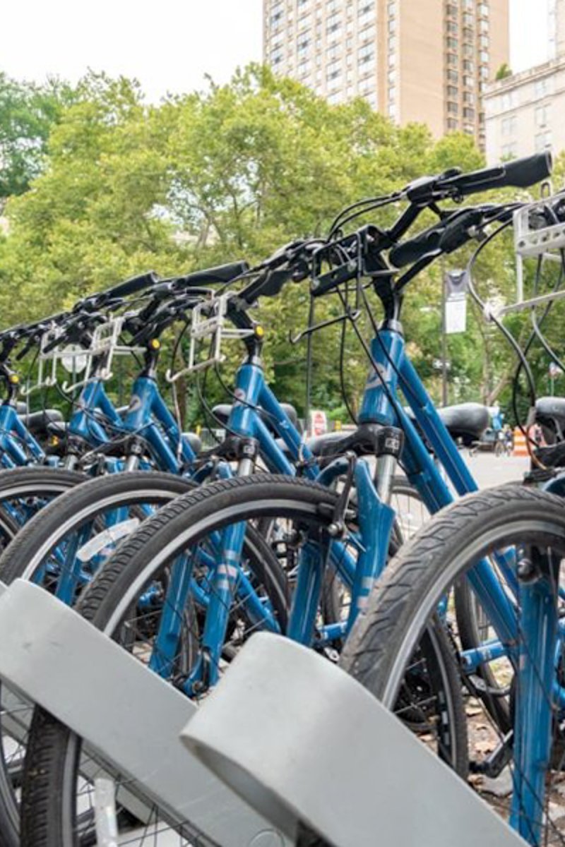 alignement-velos-en-location-central-park