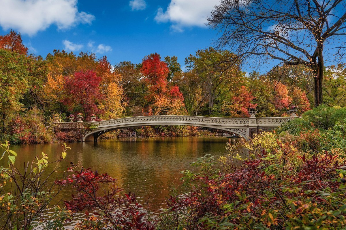 Central Park pont 