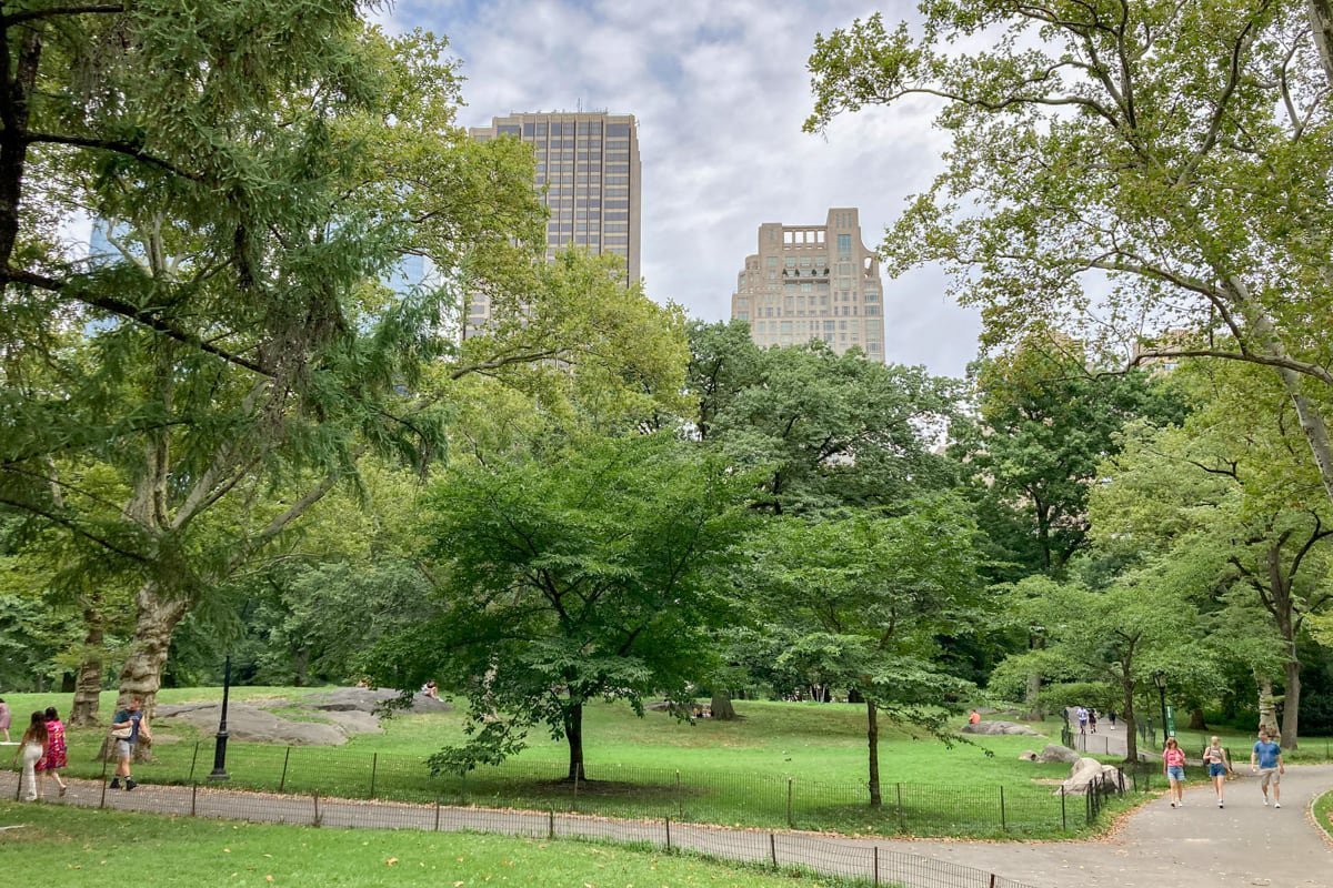 espace-vert-central-park