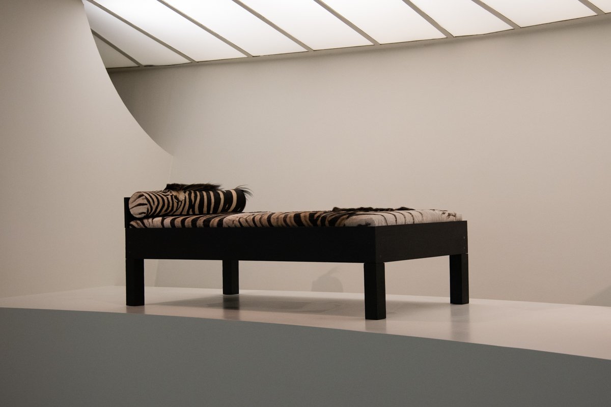 exposition lit zèbre