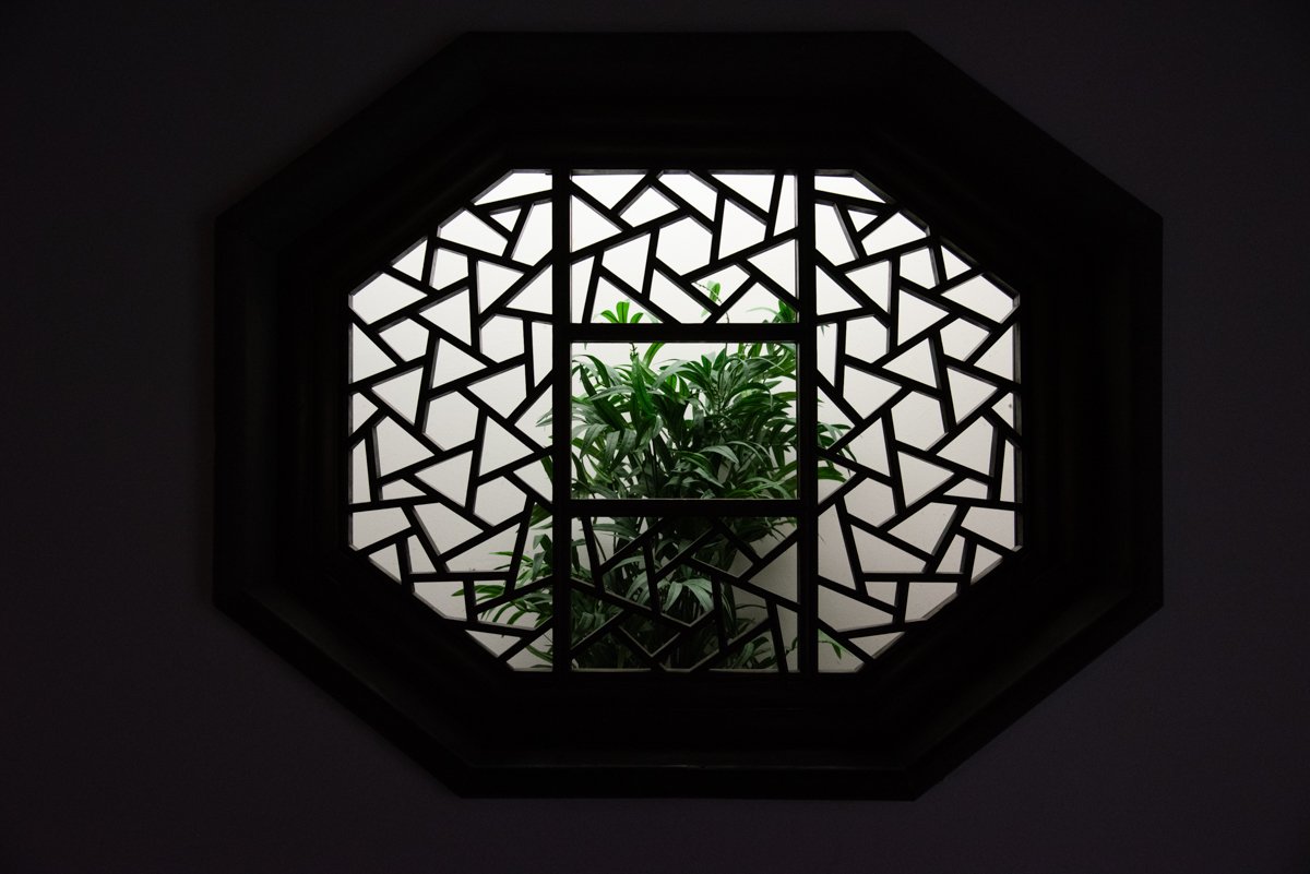 Une fenêtre qui donne sur des plantes