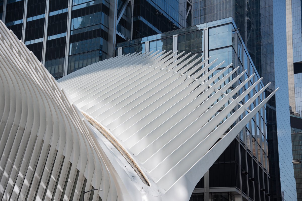 Oculus