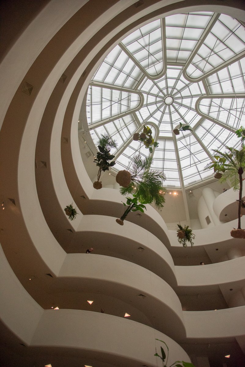 toit du bâtiment