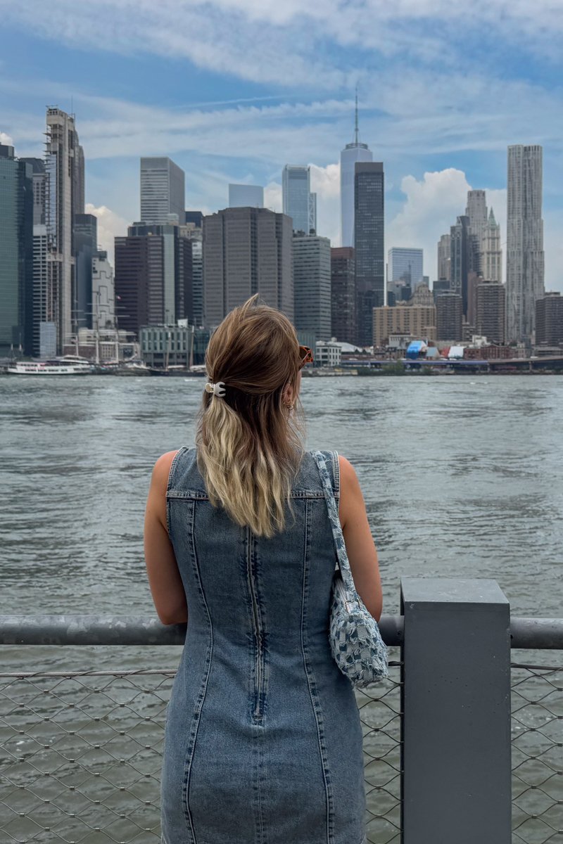 vue sur Manhattan
