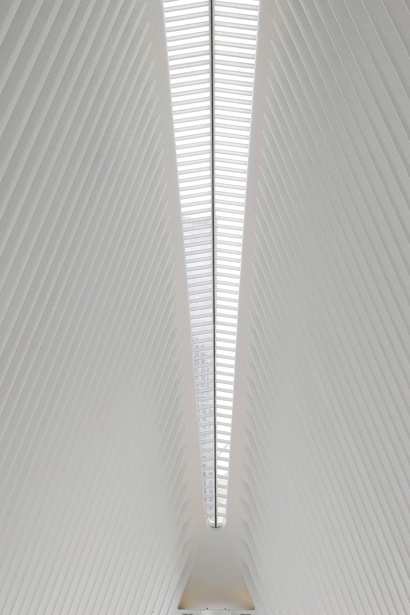 détails oculus architecture