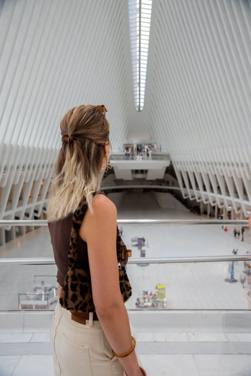 hall principal vu d'en haut oculus