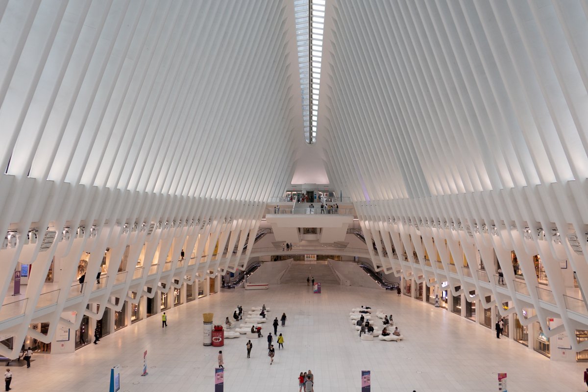 hall principal oculus