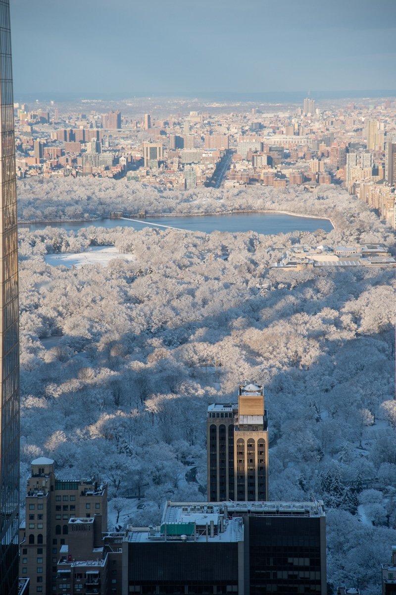 center park sous la neige