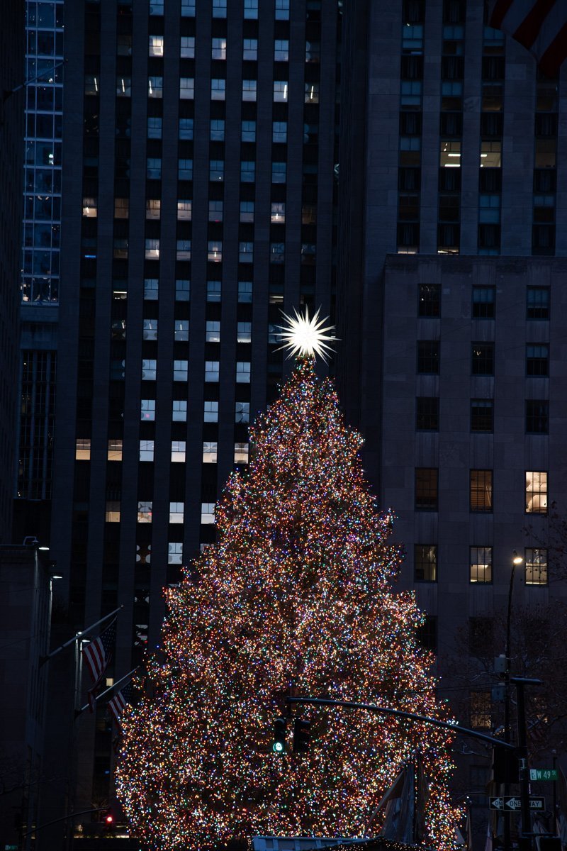 sapin de noel illumiiné
